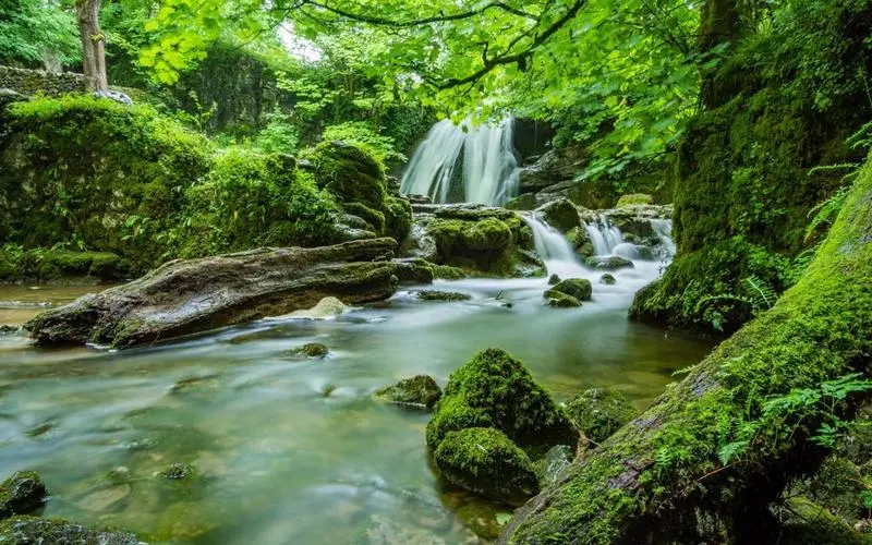 电子可靠性独特